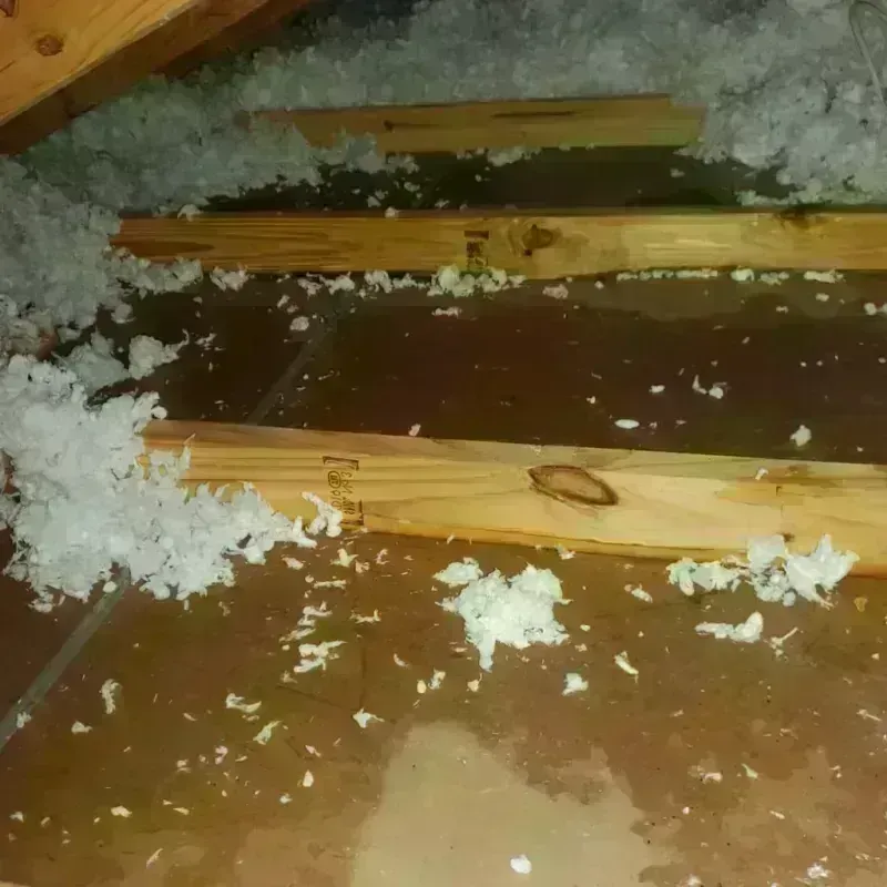 Attic Water Damage in Hale Center, TX