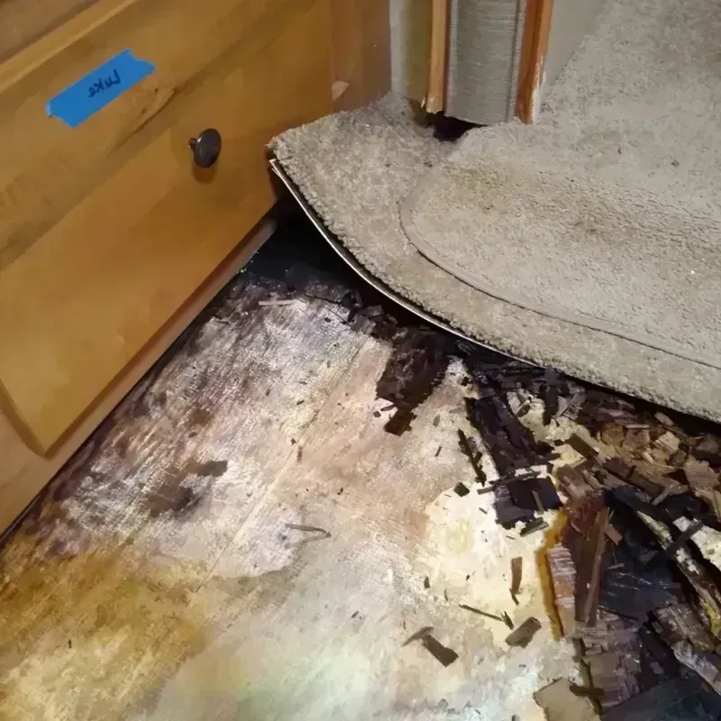 Best Wood Floor Water Damage Service in Hale Center, TX